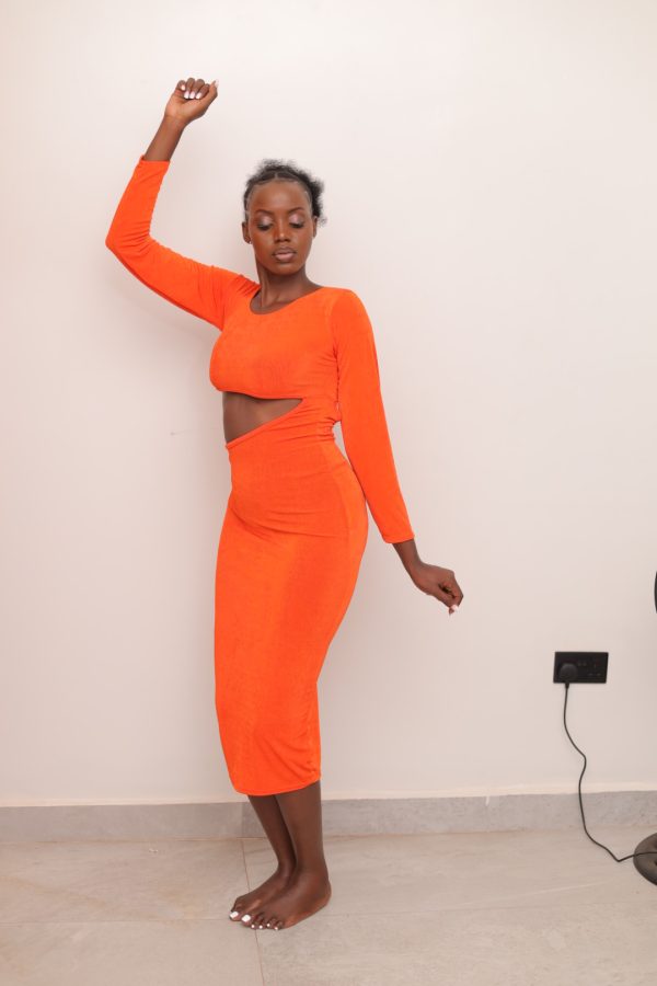 Serenade Midi Bodycon dress - Image 2