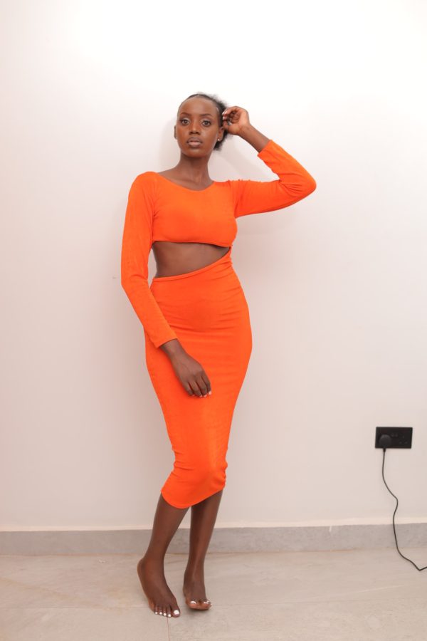 Serenade Midi Bodycon dress